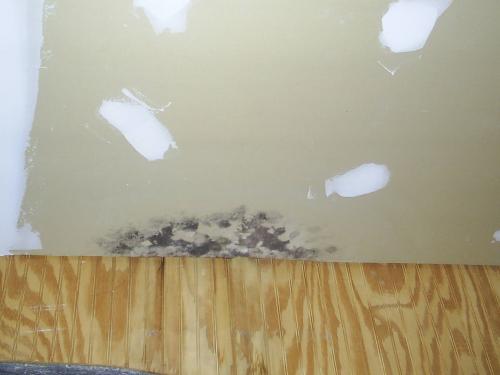 There is evidence of mold here--possibly from a leak. Needs to be researched and corrected.